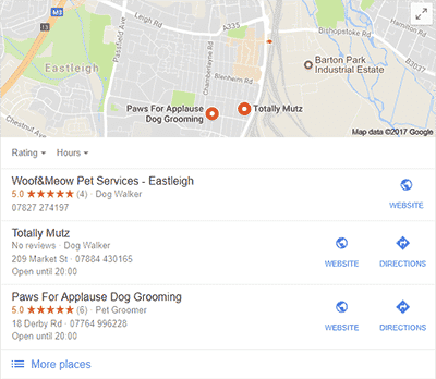 Local Google results