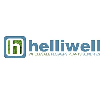 Helliwell Logo