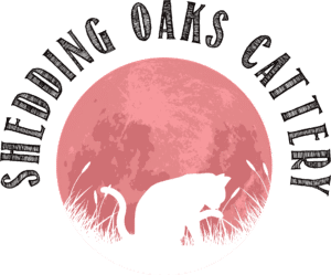Shedding oaks final Logo
