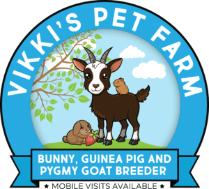 VPF Logo FINAL web